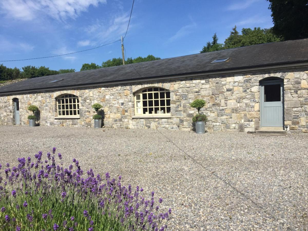 Clonalis House - Guesthouse Castlerea Eksteriør billede